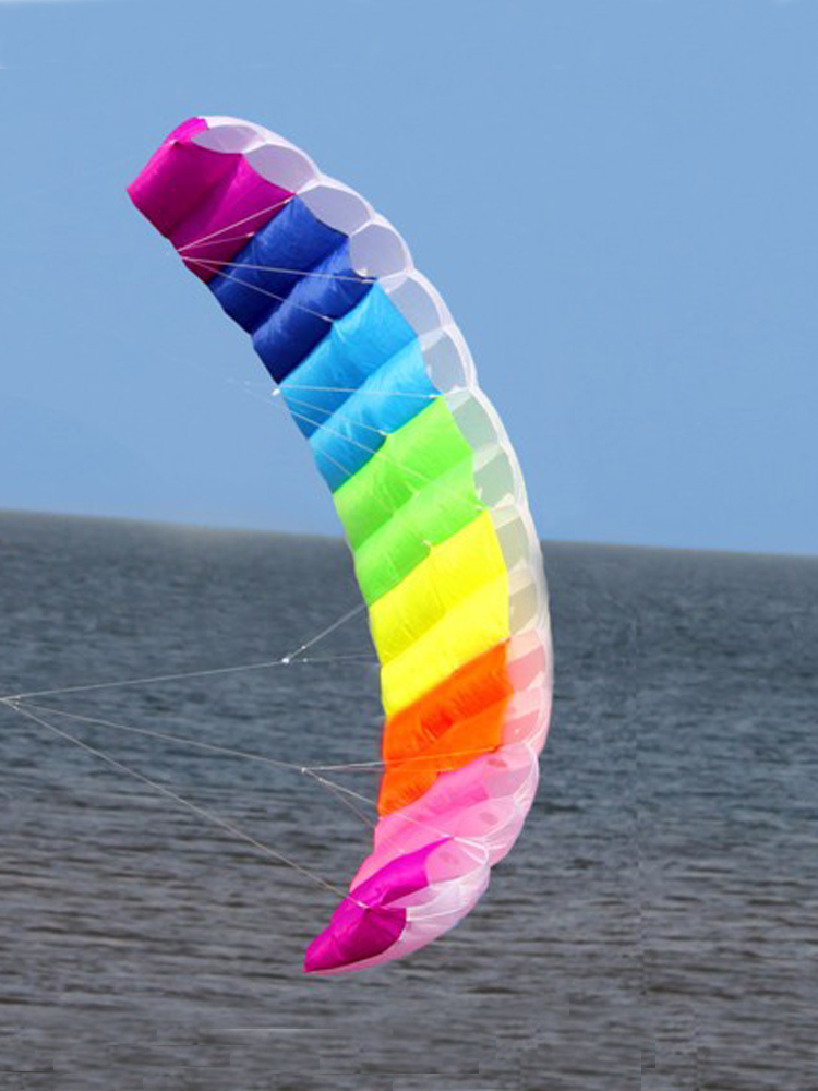 Professional 1.4/2/2.7m Dual L - Kite Surf Bar Control 评论和价格