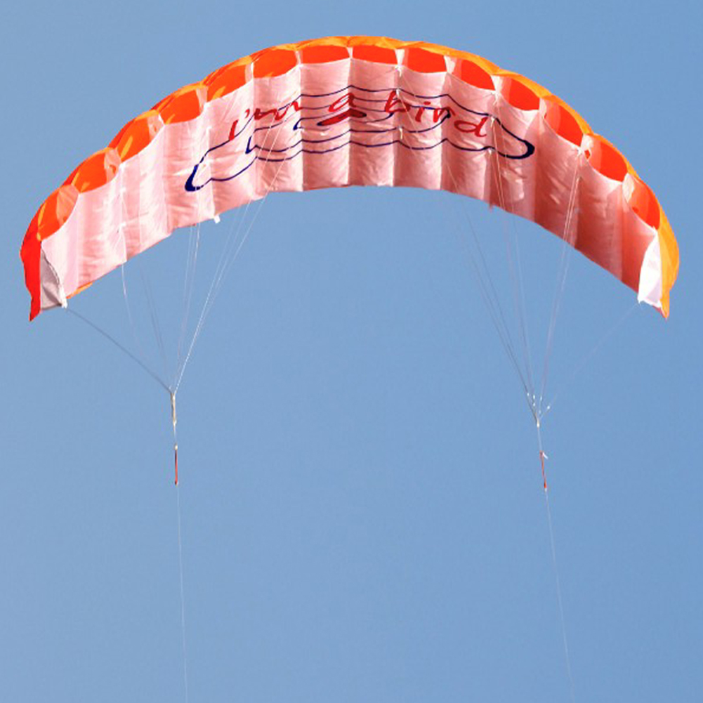 Outdoor Dual Line Stunt Parafo - Kite Surf Bar Control 评论和价格
